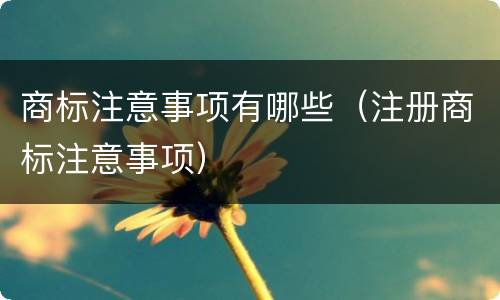 商标注意事项有哪些（注册商标注意事项）