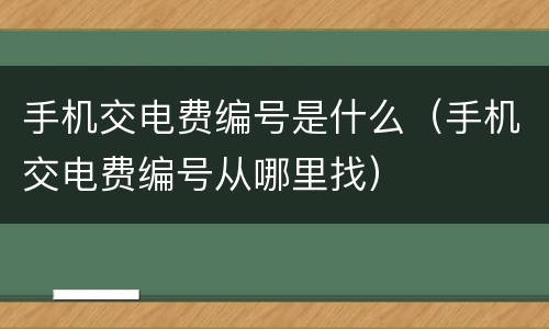 手机交电费编号是什么（手机交电费编号从哪里找）
