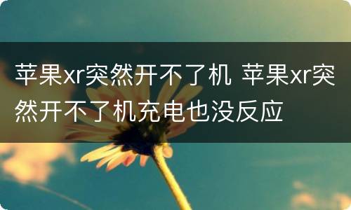 苹果xr突然开不了机 苹果xr突然开不了机充电也没反应