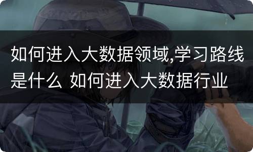 如何进入大数据领域,学习路线是什么 如何进入大数据行业