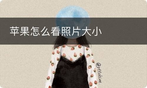  苹果怎么看照片大小