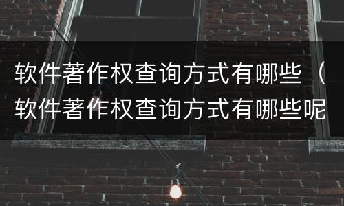 软件著作权查询方式有哪些（软件著作权查询方式有哪些呢）