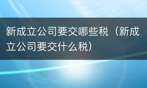新成立公司要交哪些税（新成立公司要交什么税）