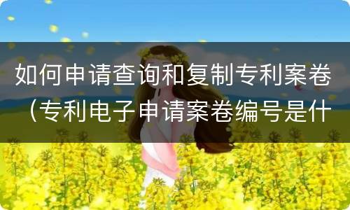 如何申请查询和复制专利案卷（专利电子申请案卷编号是什么）