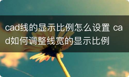 cad线的显示比例怎么设置 cad如何调整线宽的显示比例