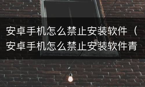 安卓手机怎么禁止安装软件（安卓手机怎么禁止安装软件青少年）
