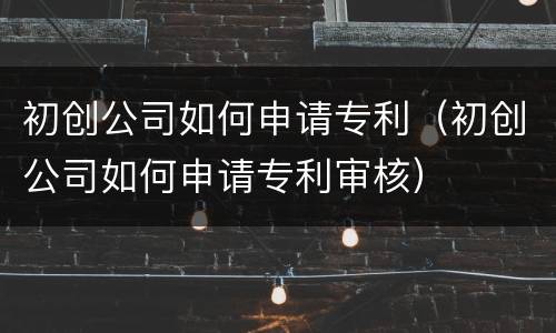 初创公司如何申请专利（初创公司如何申请专利审核）