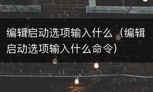 编辑启动选项输入什么（编辑启动选项输入什么命令）