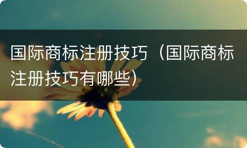 国际商标注册技巧（国际商标注册技巧有哪些）