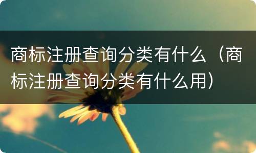 商标注册查询分类有什么（商标注册查询分类有什么用）