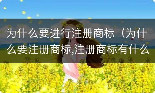 为什么要进行注册商标（为什么要注册商标,注册商标有什么好处）