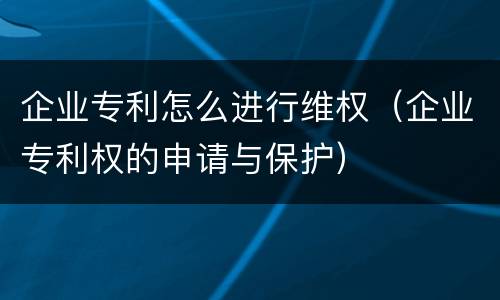 企业专利怎么进行维权（企业专利权的申请与保护）