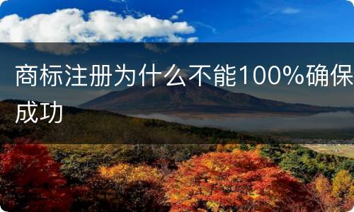 商标注册为什么不能100%确保成功