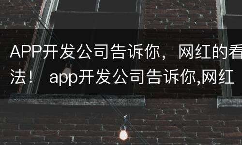 APP开发公司告诉你，网红的看法！ app开发公司告诉你,网红的看法和建议