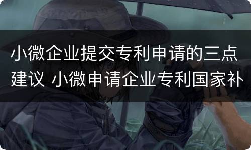 小微企业提交专利申请的三点建议 小微申请企业专利国家补助