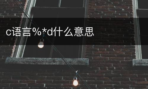c语言%*d什么意思