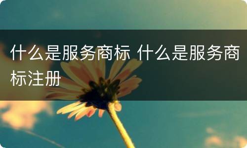 什么是服务商标 什么是服务商标注册