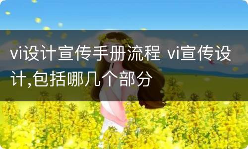 vi设计宣传手册流程 vi宣传设计,包括哪几个部分