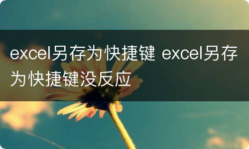 excel另存为快捷键 excel另存为快捷键没反应