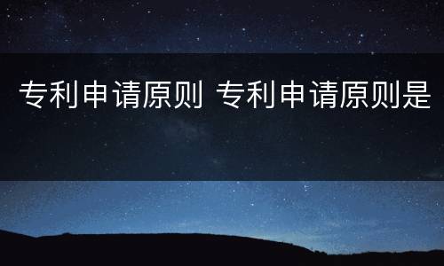 专利申请原则 专利申请原则是