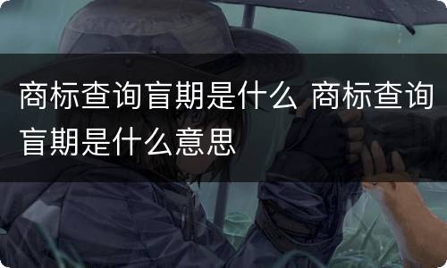 商标查询盲期是什么 商标查询盲期是什么意思