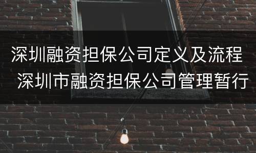 深圳融资担保公司定义及流程 深圳市融资担保公司管理暂行办法