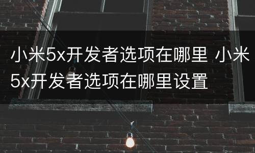 小米5x开发者选项在哪里 小米5x开发者选项在哪里设置