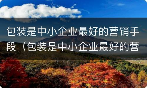 包装是中小企业最好的营销手段（包装是中小企业最好的营销手段对吗）