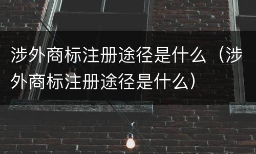 涉外商标注册途径是什么（涉外商标注册途径是什么）