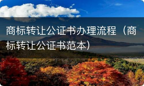 商标转让公证书办理流程（商标转让公证书范本）