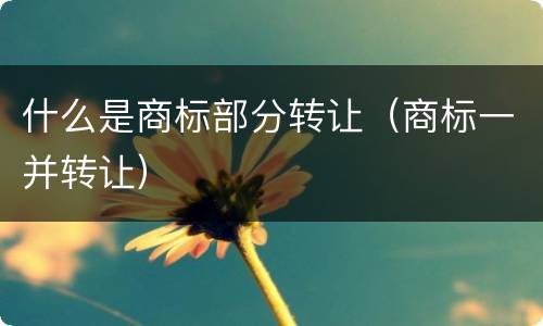 什么是商标部分转让（商标一并转让）