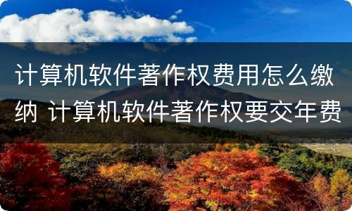 计算机软件著作权费用怎么缴纳 计算机软件著作权要交年费吗