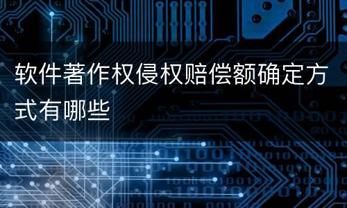 软件著作权侵权赔偿额确定方式有哪些