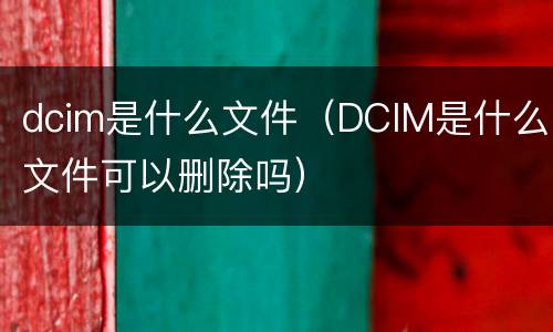 dcim是什么文件（DCIM是什么文件可以删除吗）