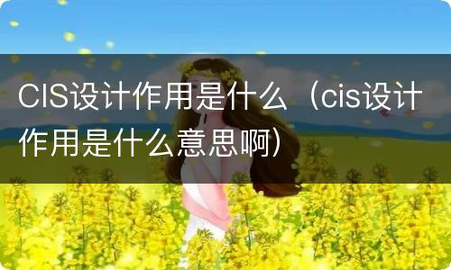 CIS设计作用是什么（cis设计作用是什么意思啊）