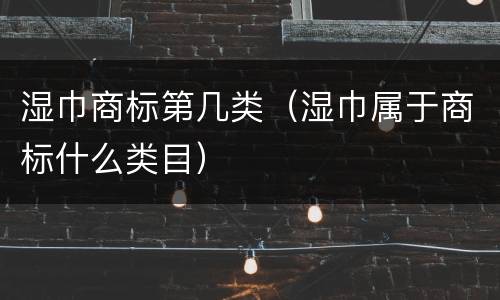 湿巾商标第几类（湿巾属于商标什么类目）