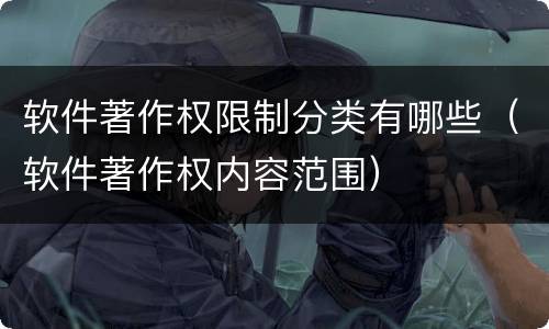 软件著作权限制分类有哪些（软件著作权内容范围）