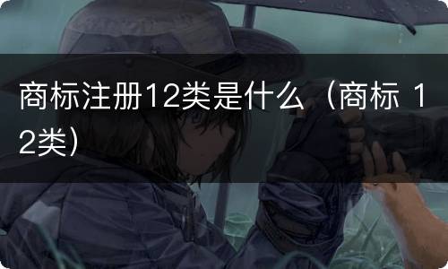 商标注册12类是什么（商标 12类）