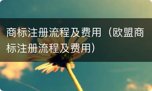 商标注册流程及费用（欧盟商标注册流程及费用）