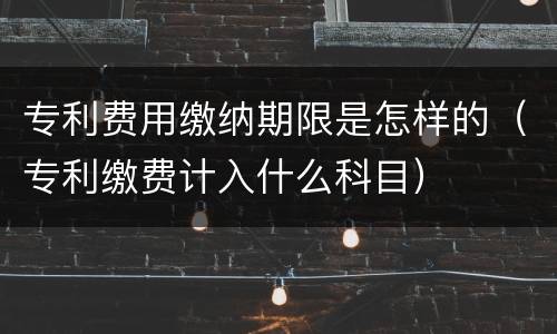 专利费用缴纳期限是怎样的（专利缴费计入什么科目）