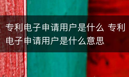 专利电子申请用户是什么 专利电子申请用户是什么意思