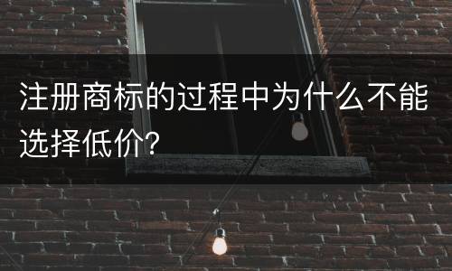 注册商标的过程中为什么不能选择低价？