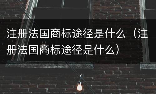 注册法国商标途径是什么（注册法国商标途径是什么）