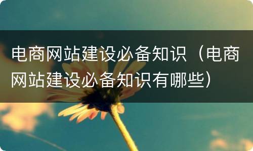 电商网站建设必备知识（电商网站建设必备知识有哪些）
