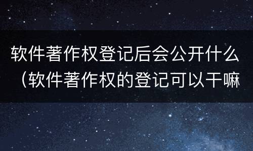 软件著作权登记后会公开什么（软件著作权的登记可以干嘛）