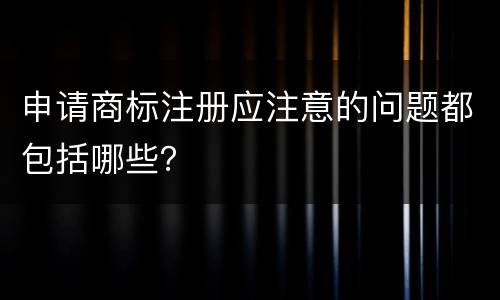 申请商标注册应注意的问题都包括哪些？