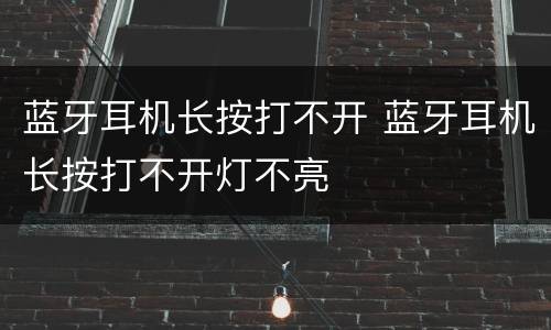 蓝牙耳机长按打不开 蓝牙耳机长按打不开灯不亮