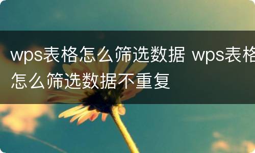wps表格怎么筛选数据 wps表格怎么筛选数据不重复