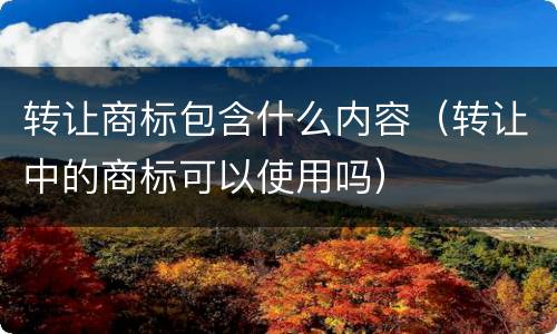 转让商标包含什么内容（转让中的商标可以使用吗）