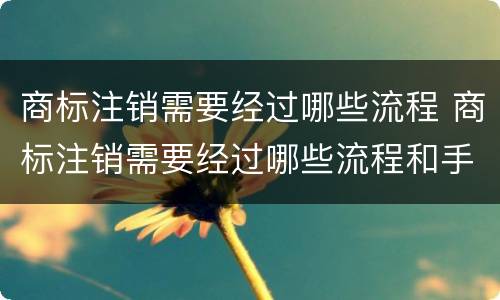 商标注销需要经过哪些流程 商标注销需要经过哪些流程和手续